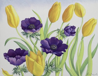 Tulips and Anemones by Christopher Ryland